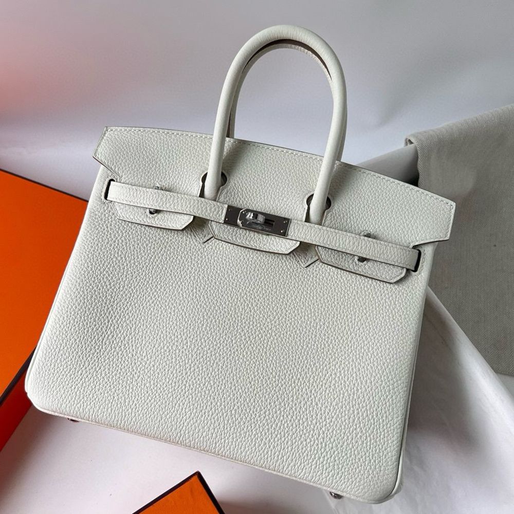 Hermes Birkin 25 Handmade Bag In Mushroom Clemence Leather