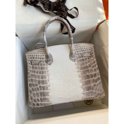 Hermes Birkin 25 Retourne Bag In Himalaya Niloticus Crocodile Skin