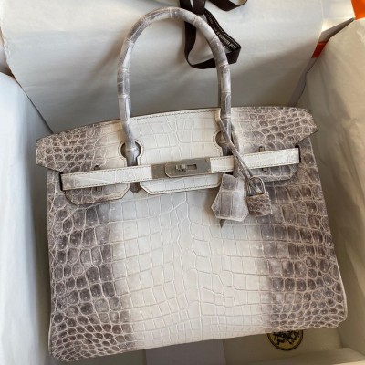 Hermes Birkin 25 Retourne Bag In Himalaya Niloticus Crocodile Skin