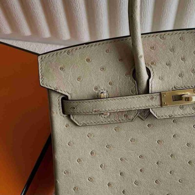 Hermes Birkin 25 Retourne Handmade Bag In Trench Ostrich Leather