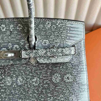 Hermes Birkin 25 Sellier Handmade Bag in Ombre Lizard Leather