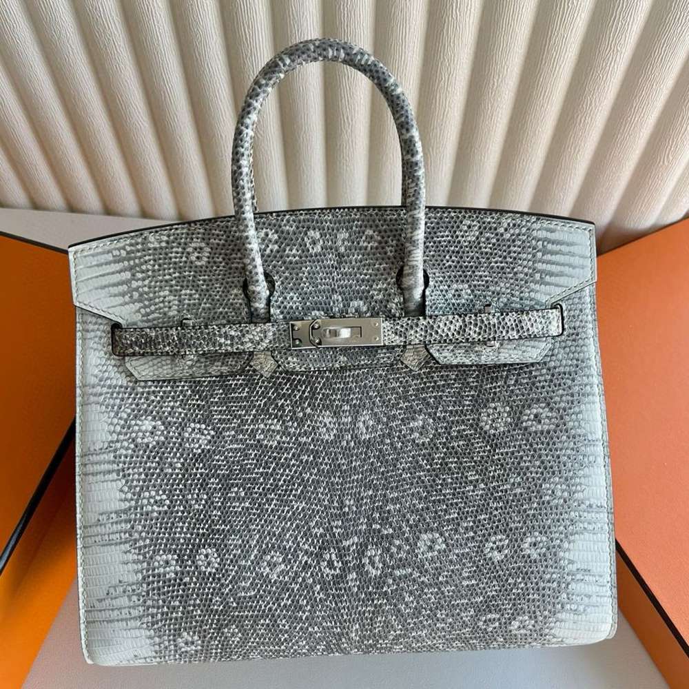 Hermes Birkin 25 Sellier Handmade Bag in Ombre Lizard Leather