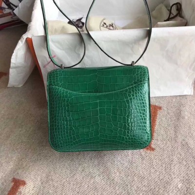 Hermes Constance 24 Handmade Bag In Green Niloticus Crocodile