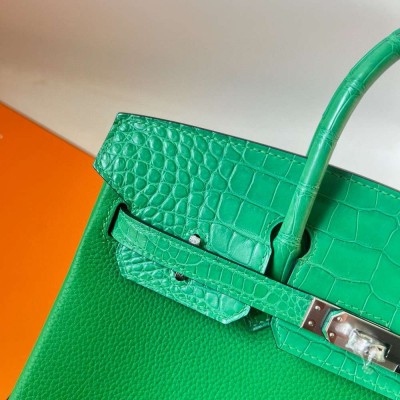 Hermes Touch Birkin 25 Bag in Bambou Clemence and Shiny Alligator Leather